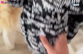 Мачеха с большой попой не устояла перед пасынком